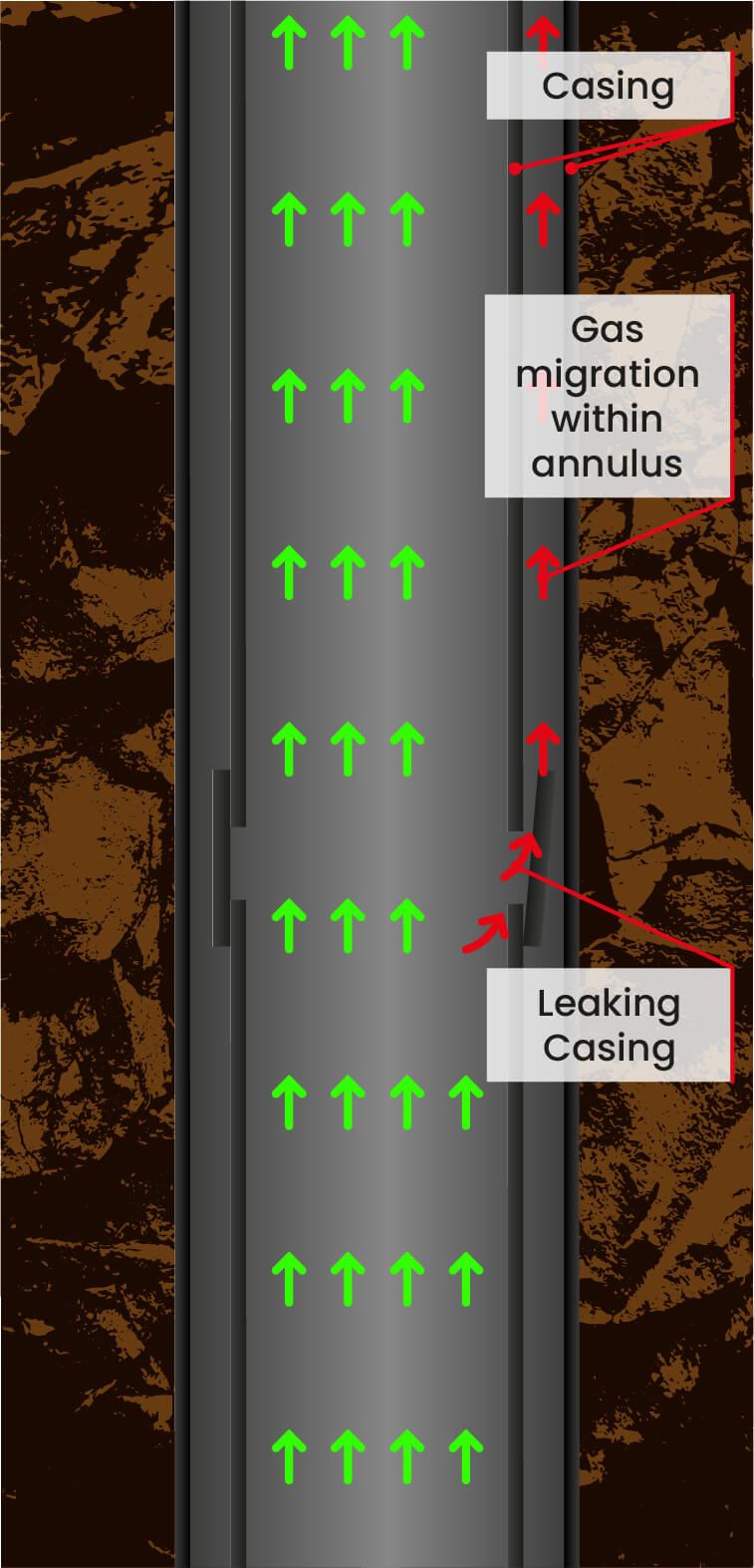 Casing Leak Seal - BiSN
