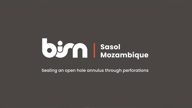 BiSN Collaborates with Sasol for Permanent Abandonment in Mozambique